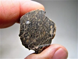 PRECIO BAJO! ¡EXQUISITO CORTE FINAL! ¡GRAN CÓNDRULOS! NWA 1465 CV3 METEORITO! 27,7 GM - Imagen 1 de 7