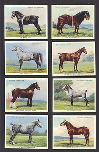 ZIGARETTENKARTEN. John Player Tabak. PFERDENTYPEN. (L). (1939).(Komplettset mit 25). - Bild 1 von 1