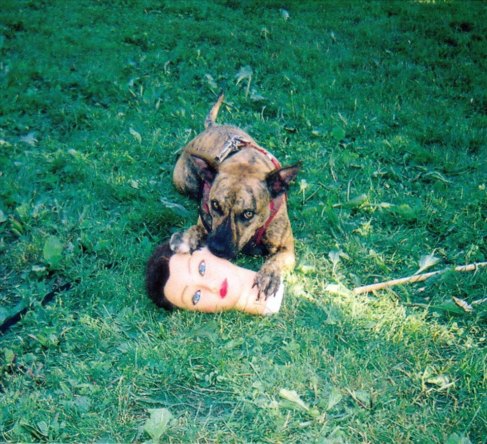 JOYCE MANOR CODY NEW CD Foto 1 de 1