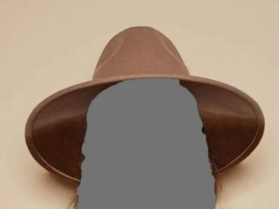 $445 Eugenia Kim Mujer Beige Marrón Emmanuelle Dos Tonos Lana Fedora Sombrero Talla Única Foto 1 de 3