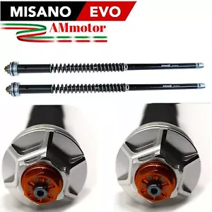 Cartridge Gabel Ducati 1098 2007 Misano Evo hydraulisch Motorrad Fork Andreani - Bild 1 von 1