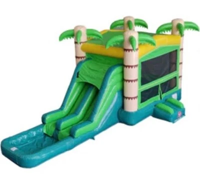 casa inflable rebote palmera combo con piscina Foto 1 de 3