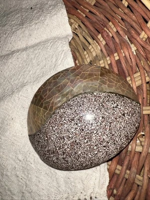 De colección Años 80 Sommaj Madreperla y Piedra de Palma Cinturón Hebilla Declaración Boho Costero Foto 1 de 4