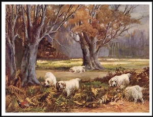 CLUMBER SPANIEL HUNDE BEI DER ARBEIT VINTAGE STIL HUND KUNSTDRUCK POSTER - Bild 1 von 1
