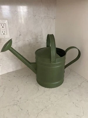 Equipo de jardinería regadera metálica pintada verde doble mango Foto 1 de 4