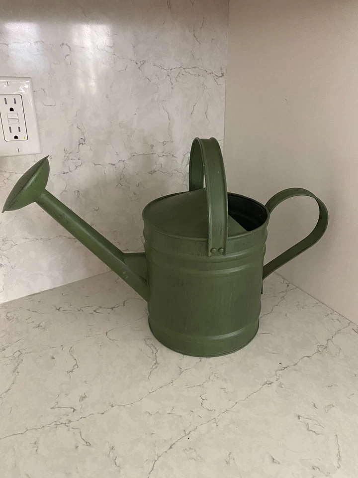 Equipo de jardinería regadera metálica pintada verde doble mango Foto 1 de 4