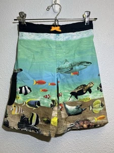 Wonder Nation Boys Aquarium Swim Trunks/Shorts Size M (8) Husky - Picture 1 of 4