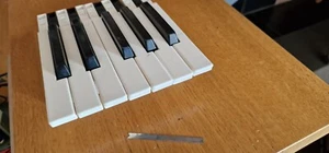 KORG M1 T2 T3 wavestation Synthesizer replacement key oasys 76 01W - Picture 1 of 3
