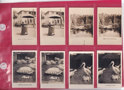 CAVANDERS - PEEPS INTO MANY LANDS, 2ND SERIES  - 4 PAIRS OF MEDIUM CARDS - LOW - Image 1 of 2