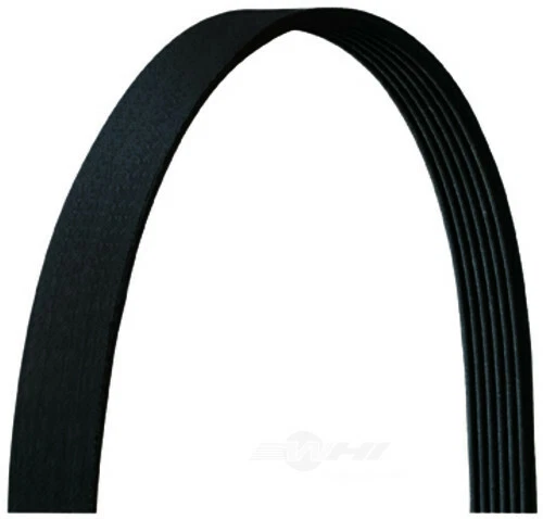 5080980DR Dayco Serpentine Belt Ford Expedition Lincoln Navigator 1997-2001 - Image 1 of 1