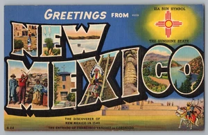 Postal de saludos desde Nuevo México, carta grande - Imagen 1 de 2