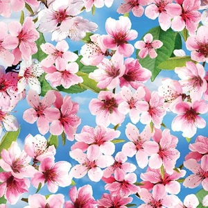 Feline Drive Fabric CHERRY HILL Cherry Blossoms Blue - Fat Quarter (18"x22") FQ - Picture 1 of 8