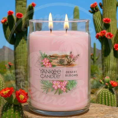 Yankee Candle Desert Blooms 20 oz vaso de 2 mechas pétalos de rosa y cactus Saguaro Foto 1 de 3