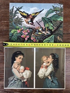 2x Large CHROMOS Birds + Mother and Child Birds & Mother and Daughter approx. 1885 - Picture 1 of 6