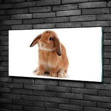 Acrylglas-Bild Wandbilder Druck 100x50 Deko Tiere Kaninchen Rothaarig