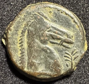 300 - 264 BC Carthage Empire Shekel Tanit Horse Head Amazing Detail! - Picture 1 of 2