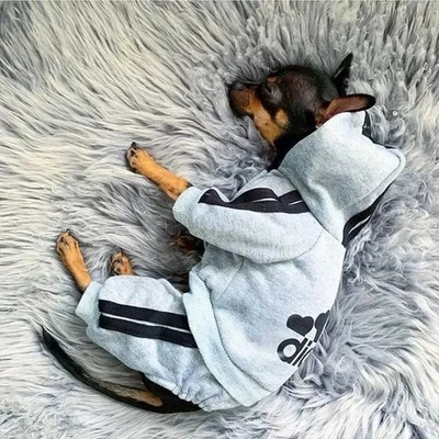 Cozy Warm Dog Jumpsuit for Small Medium Pets | Winter Puppy Outfit Clothes - Image 1 of 4