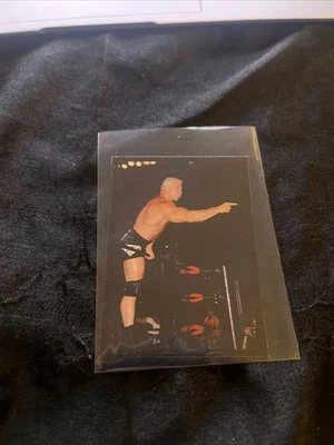 Álbum de pegatinas 1999 Panini WCW/nWo # 99 Scott Steiner Foto 1 de 2