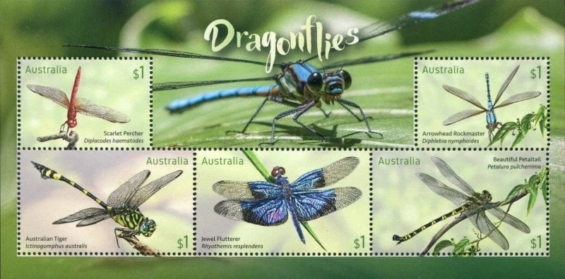 Australia 2017 - Dragonflies of Australia Sheetlet - MNH - image 1 of 1