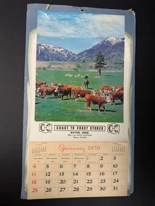 Coast To Coast Stores Wayne 1970, Nebr. Calendario Tear Away Cattle Mountains - Imagen 1 de 8