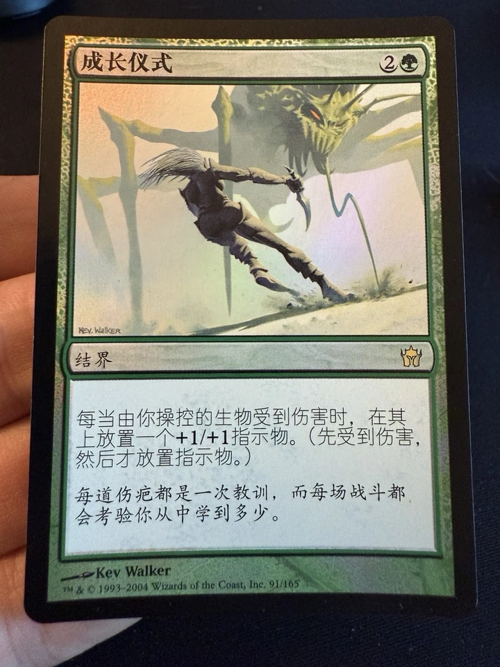Rite Of Passage - MTG - 1x NM Simplified Chinese Foil - Fifth Dawn 5DN - Image 1 of 1