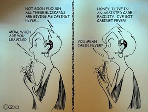 Arte de dibujos animados original de Bill Landis The Villages Daily Sun 2010 Cabin Fever - Imagen 1 de 1