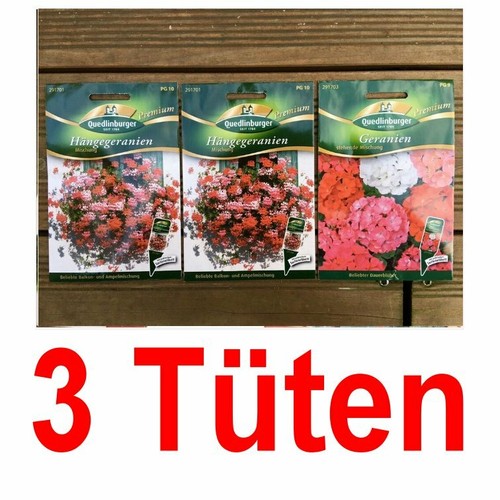 Foto 1 di 3