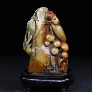 Statua cinese naturale Shoushan pietra scolpita a mano squisita cicada sigillo 5881 - Foto 1 di 10