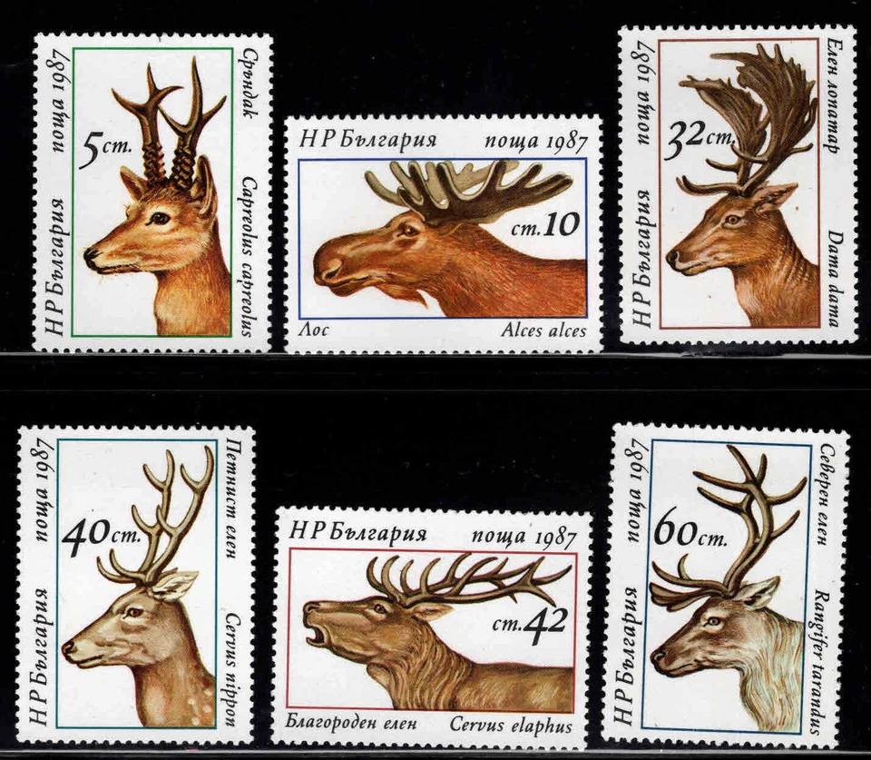 Bulgaria # 3256 - 3261 Como Nuevo NH Completo 1987 Juego de 6 Ciervos - Cuernos - Fauna Foto 1 de 1