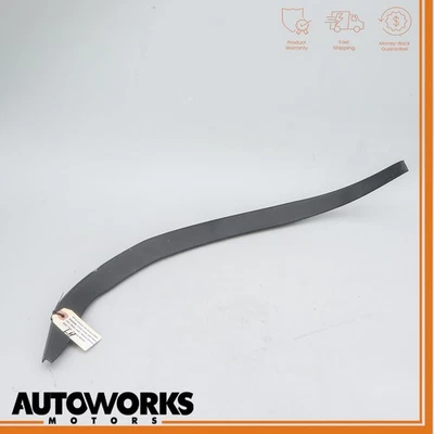 07-15 Jaguar XKR XK X150 marco de puerta delantero izquierdo lado del conductor moldura sello OEM Foto 1 de 4