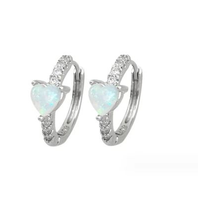 Pendientes Huggie de aro de circonita cúbica enchapados en plata de ley para mujer niña regalo F31 Foto 1 de 4