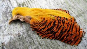 Irish Fly Supplies Golden Pheasant Head, tippet crest