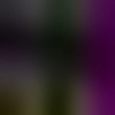 Комплект прогиба выравнивания SPC Performance 67475 для 06–20 Acura Honda Civic CSX ILX - Изображение 1 из 4