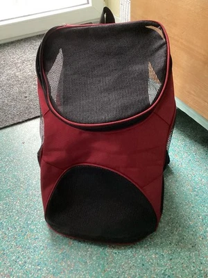 hunde trage rucksack 10 kg - Bild 1 von 4