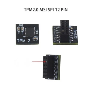 12 Pin SPI TPM2.0 Security Module Remote Card for ASUS/MSI Motherboard - Picture 1 of 5