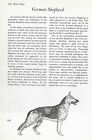 The German Shepherd - CUSTOM MATTED - Vintage Dog Art Print - "G"