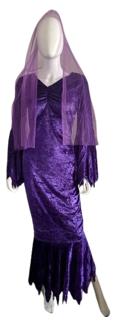 Disfraz de vampiro de terciopelo púrpura de lujo para dama de Halloween Foto 1 de 1