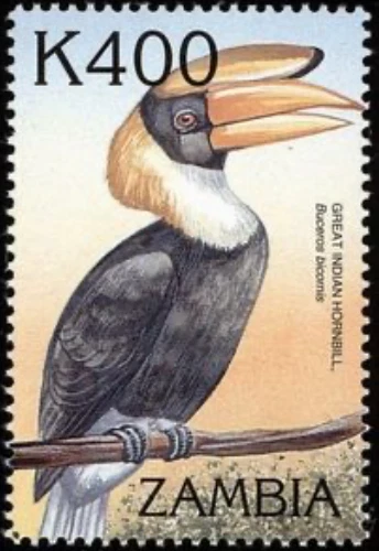 Zambia #Mi1178 MNH 2000 Birds Great Hornbill [881] - Image 1 of 1