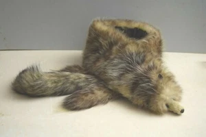 Pelzkragen Fellkragen Fuchskragen Silberfuchs Fuchsfell ganzer Fuchs als Kragen - Picture 1 of 5