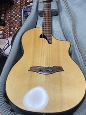 Mayson PS-300 Electric Acoustic Guitar for sale