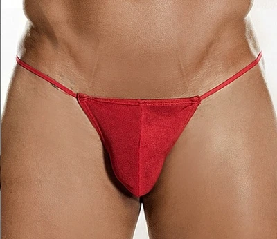 5 PIEZAS Sexy Para Hombres T-Back Tanga Bikini Ropa Interior Malla Bolsa Transparente Tanga Foto 1 de 4