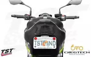 Luz trasera integrada TST Industries Kawasaki ZH2 Z900 2017 + lente ahumada - Imagen 1 de 10