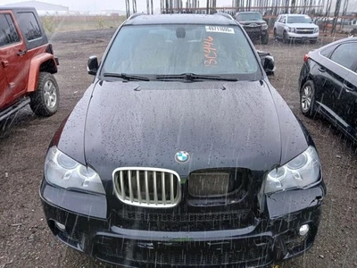 (LOCAL PICKUP ONLY) Hood Titanium Grilles Fits 07-13 BMW X5 1306229 Foto 1 de 4