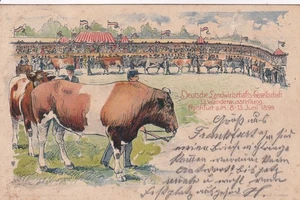 AK Frankfurt a/M, Dt.Landw.Ges. 13. Wanderausstellung 8.-13. Juni 1899 - Bild 1 von 2