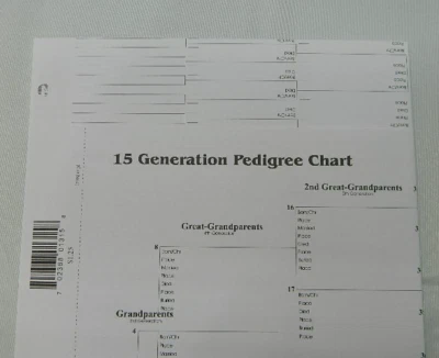 15 Generation Blank Pedigree Chart Genealogy Form Lot of 6 - Image 1 of 4