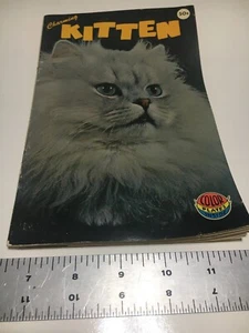 Vintage Charming Kitten Booklet/ Pamphlet 1962 By TFH Publications - Picture 1 of 12