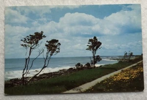 The New Hampshire Seashore Dr. Postcard (K1) - Picture 1 of 2