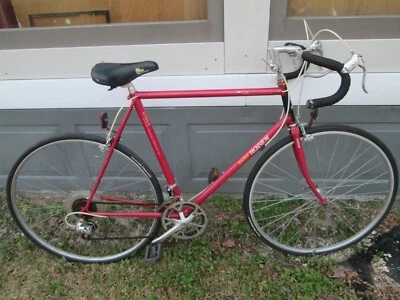 BICICLETA VINTAGE RALEIGH TECHNIUM 420 59 CM   Foto 1 de 4