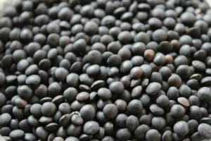 BLACK LENTILS BEANS - Picture 1 of 8