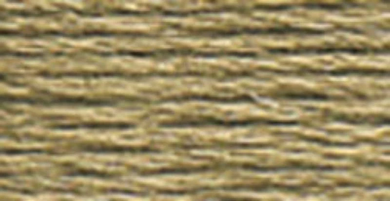 DMC 6-Strand Embroidery Cotton 100g Cone Beige Grey Dark - Image 1 of 1